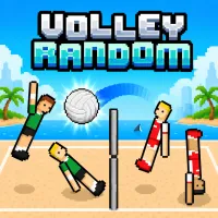 volley-random